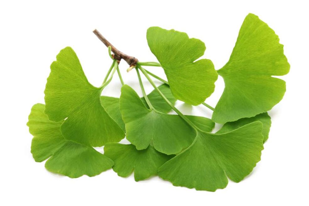 gingko biloba σε κάψουλες Glucoren